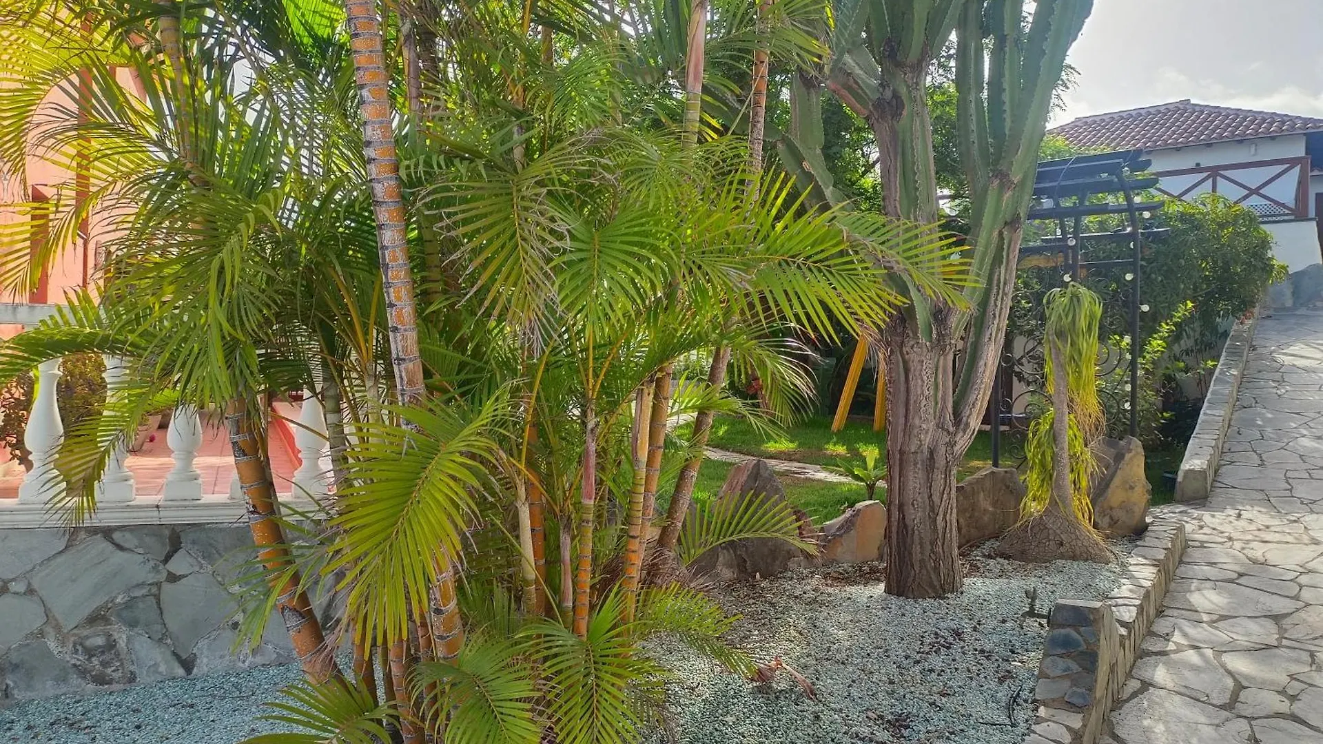 La Barbacoa Familiar De Gardel Apartamento Icod De Los Vinos 0*,
